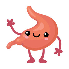 Internal biology for design concept. Funny human organ flat for web design. Cartoon cute stomach, lungs, spleen, bladder, kidney and brain isolated vector illustration