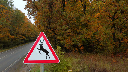 road sign wild animals on the background of the road and autumn forest, road triangular sign with a deer on the side of the road, signs of a deer crossing warning the driver - Powered by Adobe