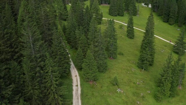 Vallunga, Val Gardena, Ortisei, Dolomiti, Bolzano, Alto-Adige, Italia