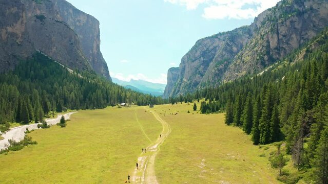 Vallunga, Val Gardena, Ortisei, Dolomiti, Bolzano, Alto-Adige, Italia