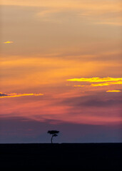 Fototapeta na wymiar Sunset at Masai Mara