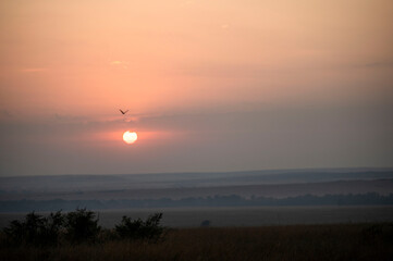 Sunrise at Masai Mara