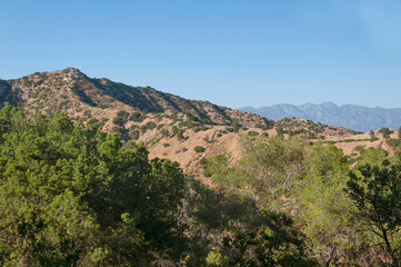 Fototapeta na wymiar the mountains within Griffith Park Los Angeles california