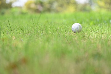 White golf ball is placed on cream tee on a green lawn (pegs ready to play) withblur green golf course background. People around the world play golf game during the holidays for health and recreatio
