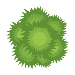 Top aerial view, green foliage, park, forest, garden plants isolated on white. Vector illustration for landscape, nature, ecology concept