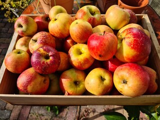 apples and pears