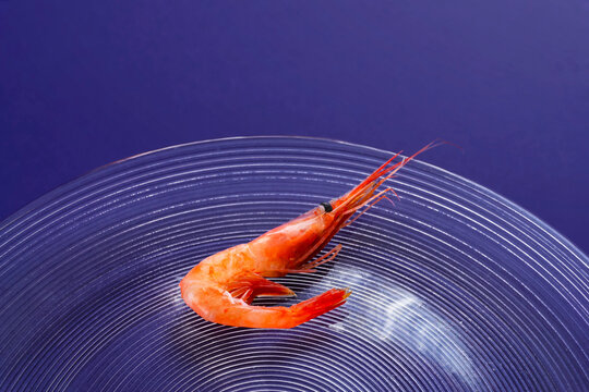 Sweet shrimp on a glass plate. Also known as Northern shrimp. ガラス皿に盛りつけされた甘エビ。別名ホッコクアカエビ