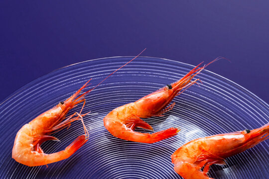 Sweet shrimp on a glass plate. Also known as Northern shrimp. ガラス皿に盛りつけされた甘エビ。別名ホッコクアカエビ