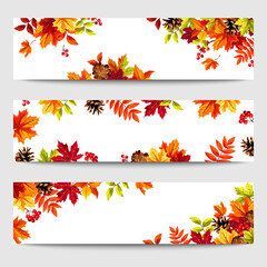 Web banners with colorful autumn leaves, pinecones, and rowanberries. Vector illustration