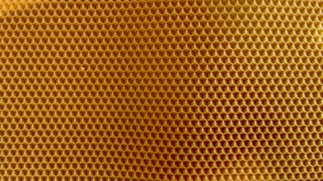 textura de panal de miel natural sin abejas