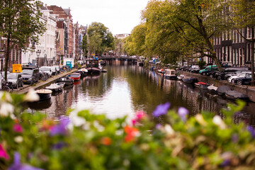 Fototapeta na wymiar canal con barcas con un puente al fondo y flores de colores en primer plano en amterdam, holanda, países bajos