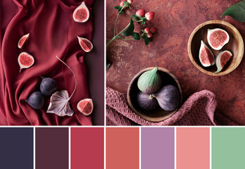 Color matching palette from images or vibrant magenta, purple fig fruits on raspberry red silk...