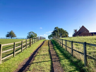 Dirt road between fields with fences and trees