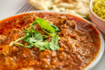 Photo of some indian spicy rogan josh lamb on a white plate