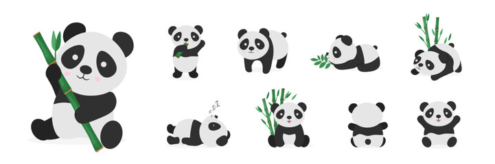 Fototapety  Cute pandas flat vector color illustrations set. Baby panda bear in different poses cartoon character. Sleepy and lazy animal. Asian wildlife. Rainforest, jungle mammal eating bamboo