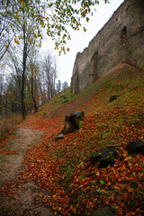 Ruins of medieval castle Zborov, Slovakia