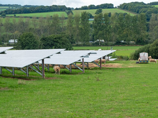 Sheep kept to graze farmland supporting arrays of solar panels. Areas underneath the panels would be otherwise prohibitively difficult to cut due to varying degrees of  accessibility