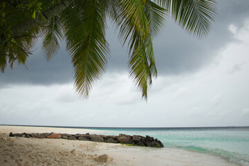View of palm leaves on a blurred background of the beach and ocean on a resort island in the Maldives