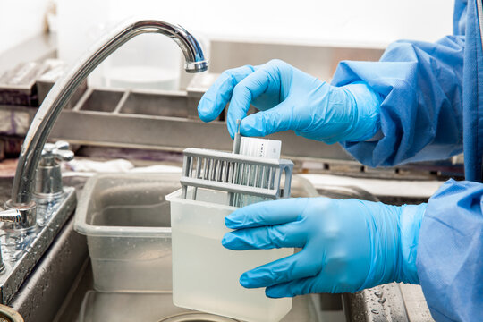 Scientist Preparing Slides With Paraffin Embedded Tissue Samples For Immunohistochemistry Assay In The Laboratory.