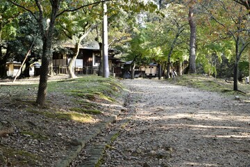 奈良公園