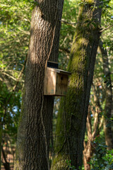 Birdhouse in the forest, Parque Biológico de Gaia, Portugal