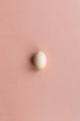 White chicken egg on a pink background