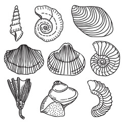 Paleontological icons, Vector brachiopods, nautilus, sea lilies, marine gastropods, cephalopods.