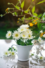 White chrysanthemum in vase in garden