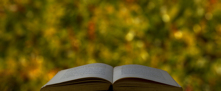 Old open book with leaves bokeh background.
Abstract season banner, with autumn background