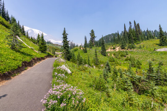 Summer landscape in mountains. Narrow trail high in the mountains. Amazing view at the snowy peaks which rose against the blue sky. MOUNT FREMONT LOOKOUT TRAIL, Sunrise Area, Mount Rainier