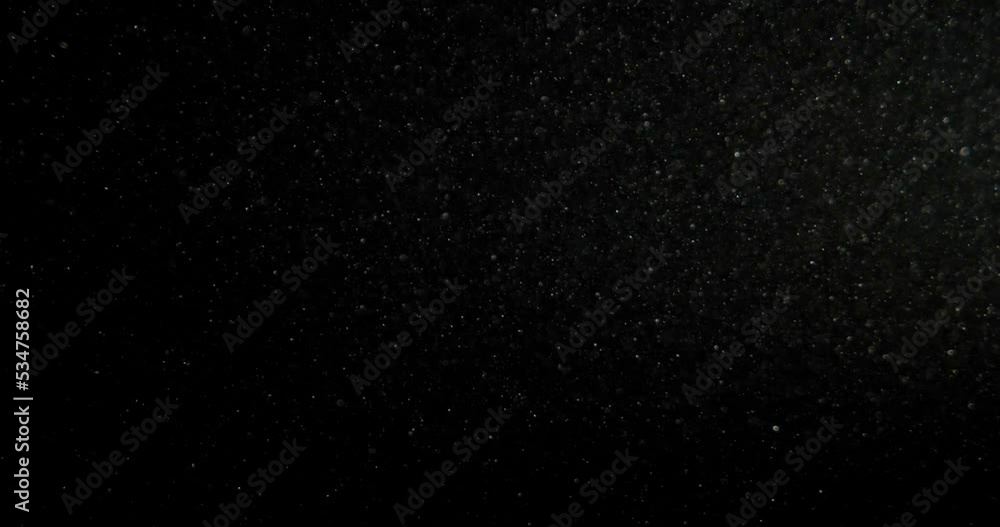 Canvas Prints organic dust particles floating on black background. glittering sparkling flickering overlay.