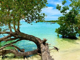Turquoise Waters in Sanibel Island
