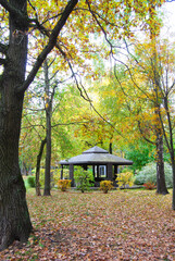 Landscape in the autumn park. Wooden gazebo for relaxing among yellow foliage and autumn trees. Wooden gazebo in the autumn forest among fallen leaves.
