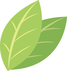 plant green leaf