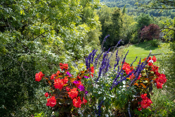 Obraz premium Typical scene with lavender and flowers in South France