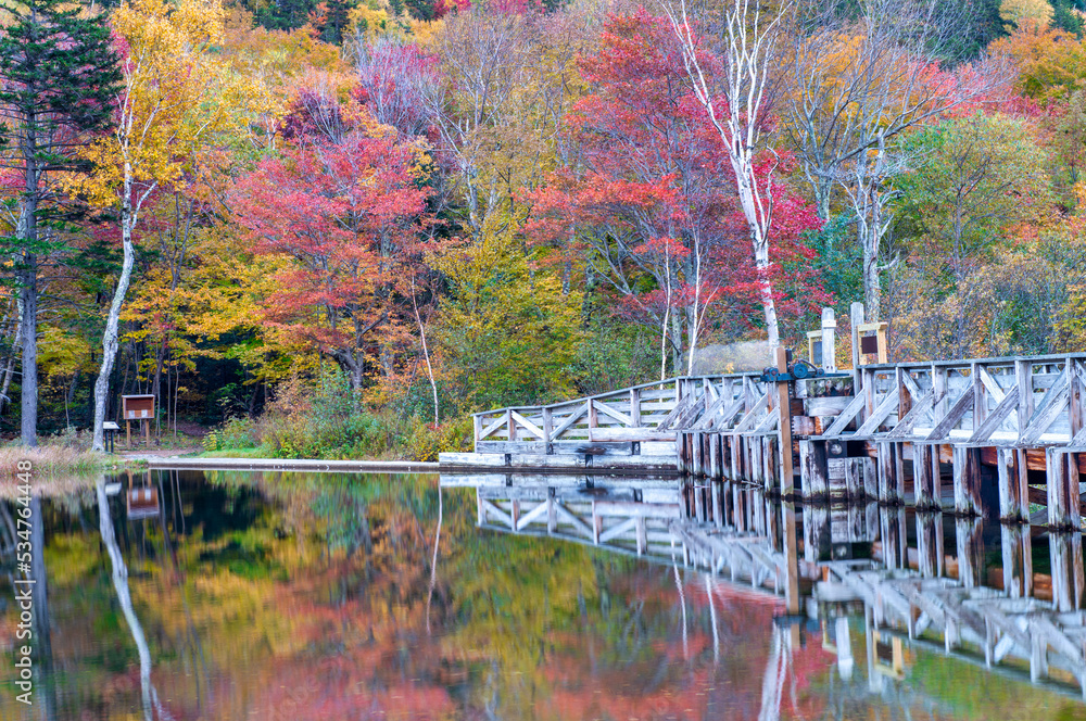 Sticker foliage landscape and colors. lake and trees in autumn season, water reflections, relax concept