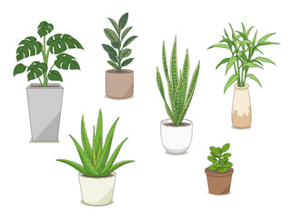 Set of ornamental plants illustration.