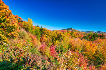 Fall Foliage across the rolling hills of Vermont. Peak fall color on a beautiful sunny day in New England