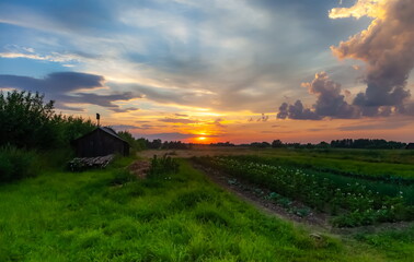 Landscape with sunset in the village in summer