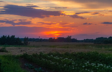 Landscape with sunset in the village in summer
