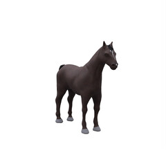 Obraz na płótnie Canvas Black Horse isolated
