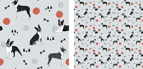 Seamless dog pattern, cute. Square format texture, t-shirt, poster, packaging, textile, socks, textile, fabric, decoration, wrapping paper. Trendy hand-drawn Boston Terrier dogs. Gift box pattern.
