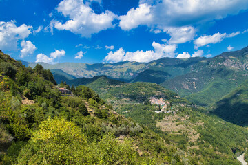 Fototapeta premium landscape in summer