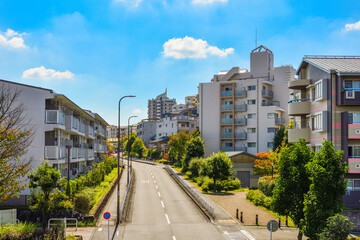 Obraz na płótnie Canvas 日本の住宅地