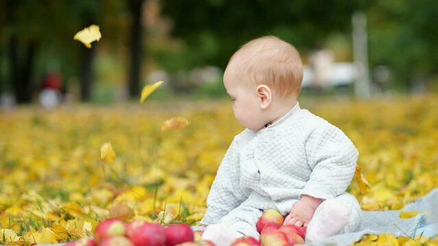 Falling leaves cover baby child with amused expression sitting on warm blanket near red apples. Baby girl spends time on autumn park lawn