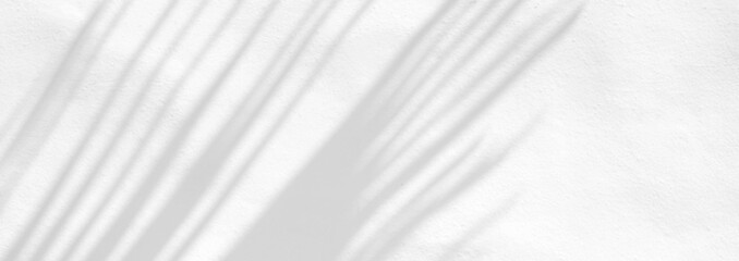 Fototapeta premium Leaves natural shadow overlay on white texture background, for overlay on product presentation, backdrop and mockup, banner style
