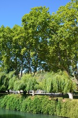 Parque Mouchão en Tomar, Portugal