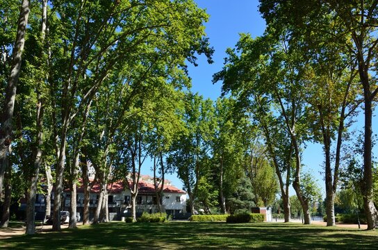 Parque Mouch&atilde;o en Tomar, Portugal
