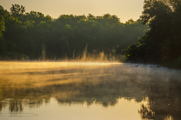 fog over the river in the early morning illuminated by the sun, the reflection of trees