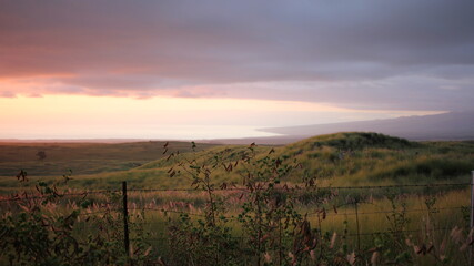 Sunset over Hilly Meadow